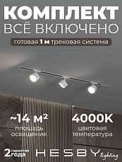 Встраиваемая однофазная трековая система Hesby Lighting Skylite №13 со светильниками HSBL_kompl_S013_VI1W4K