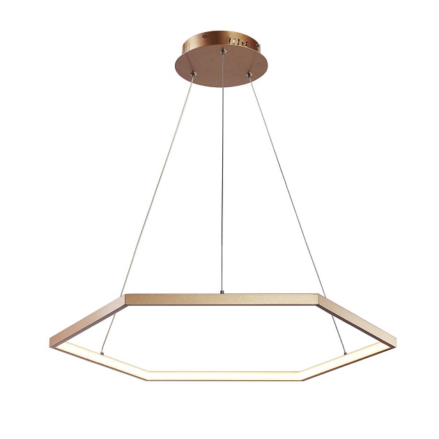 Подвесной светодиодный светильник Favourite Hexagon 2103-6P Фото № 1