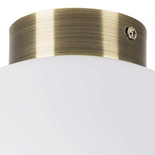 Настенно-потолочный светильник Lightstar Globo 812031 1