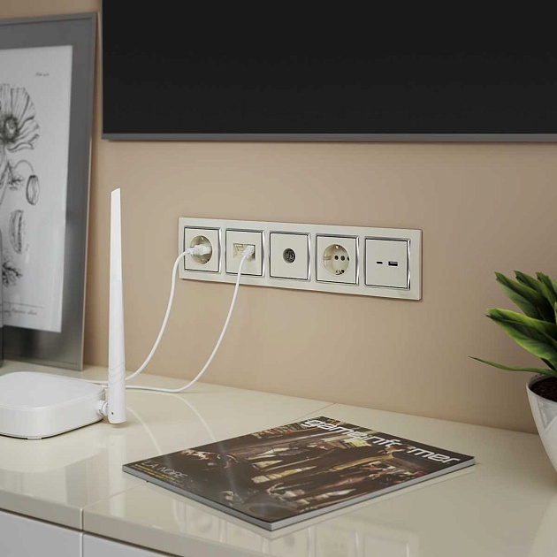 ТВ-розетка проходная Werkel (слоновая кость) W1184003 4690389155819 Фото № 3