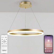 Подвесной светодиодный светильник Natali Kovaltseva Led Lamps 81296 5