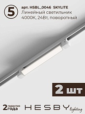 Встраиваемая однофазная трековая система Hesby Lighting Skylite №10 со светильниками HSBL_kompl_S010_VI2W4K 1