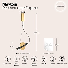 Подвесной светильник Maytoni Enigma MOD150PL-L5BS3K 1
