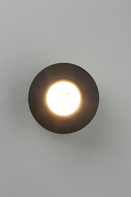 Потолочный светодиодный светильник Omnilux Borgetto OML-101919-12 фото 2
