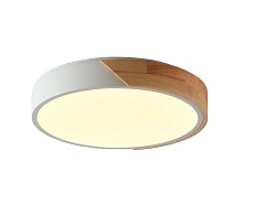 Потолочный светильник Zortes ALBERRO ZRS.01239.90 4