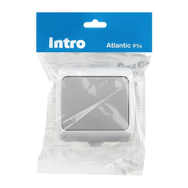 Выключатель одноклавишный ЭРА Intro Atlantic 10AX 250V 5-101-03 Б0050940 фото 2