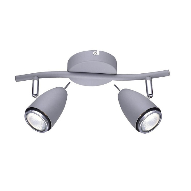 Спот Arte Lamp Regista A1966AP-2GY Фото № 1