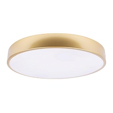 Потолочный светодиодный светильник Loft IT Flims 10228/A