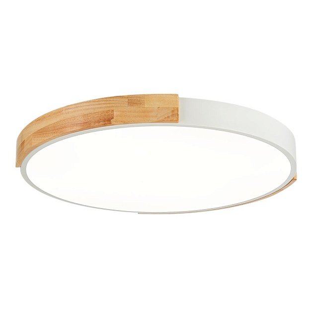Потолочный сетодиодный светильник Evoluce Delia SLE201352-01 изображение 1 Потолочный сетодиодный светильник Evoluce Delia SLE201352-01 Фото № 1