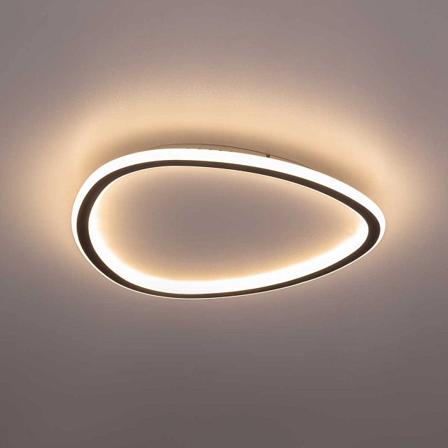 Потолочная люстра Citilux CL215B241E Фото № 7