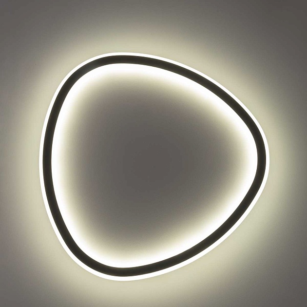 Потолочная люстра Citilux CL215B241E Фото № 10