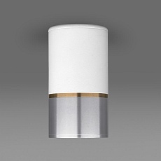 Потолочный светильник Elektrostandard DLN106 GU10 белый/серебро a047730 1