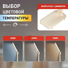 Настольная лампа аккумуляторная ЭРА NLED-495-5W-BG Б0057191 2