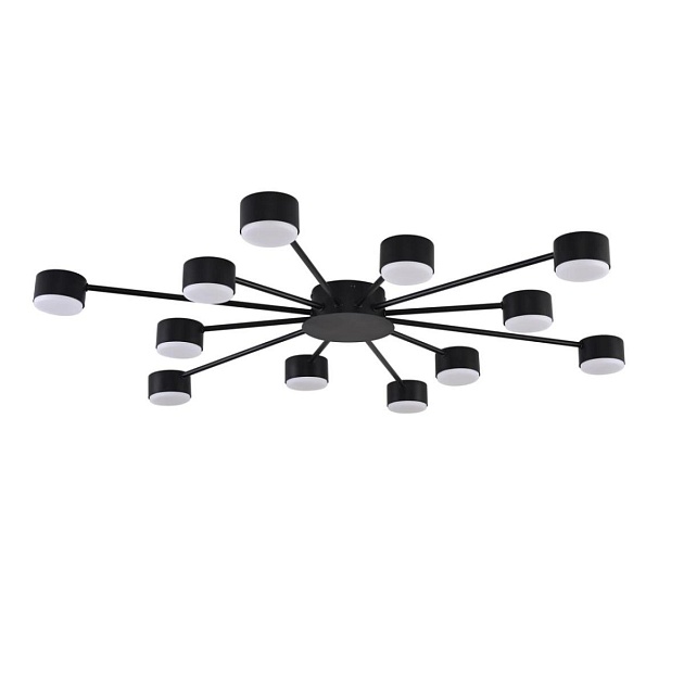 Люстра Lumion COMFI 8344/12C Фото № 1