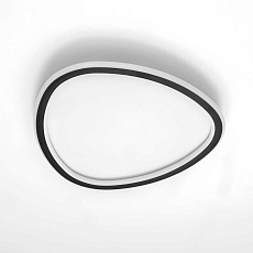 Потолочная люстра Citilux CL215B241E 2