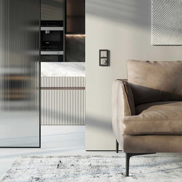 Выключатель двухклавишный с подсветкой (дымчатый) W1220104/ a069457 изображение 9 Выключатель двухклавишный с подсветкой (дымчатый) W1220104/ a069457 Фото № 9