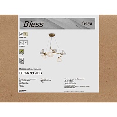 Подвесная люстра Freya Modern Bless FR5567PL-06G 2