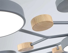 Люстра на штанге Ambrella light COMFORT FL4865 4