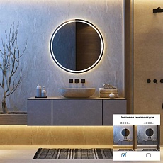 Светодиодная лента ST Luce ST1001.310.65 3