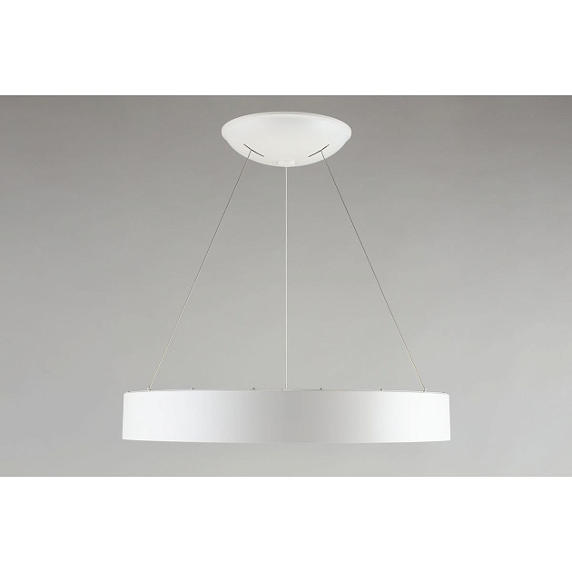Подвесной светодиодный светильник Aployt Michell APL.052.03.60 Фото № 13