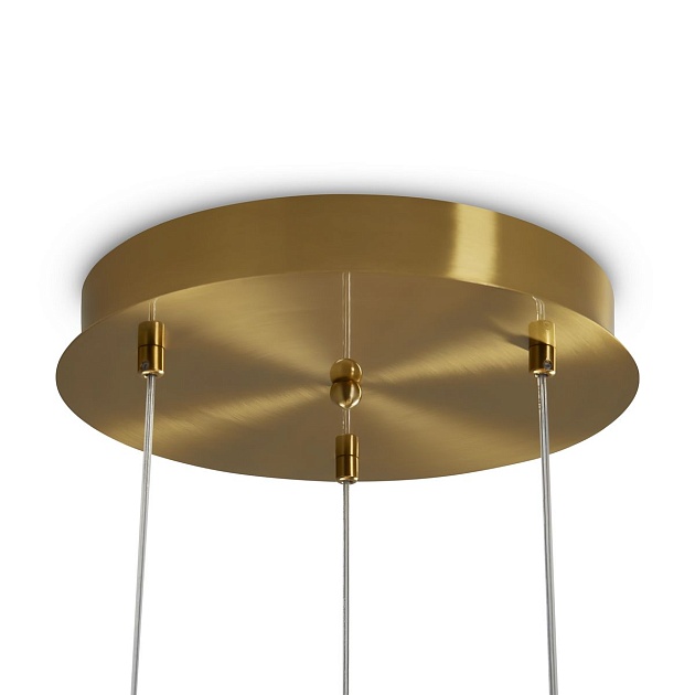 Подвесная светодиодная люстра Freya Koil FR6136PL-L18BT Фото № 2