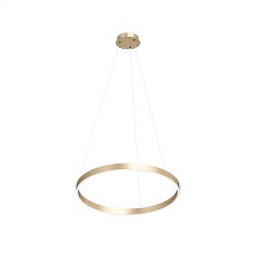 Подвесной светодиодный светильник Denkirs Raydia DK6273-SG 1