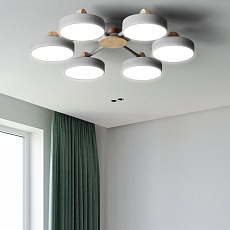 Потолочная люстра Imperium Loft Move 101813-26 5