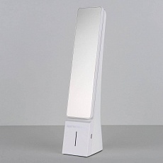 Настольная лампа Elektrostandard TL90450 Desk белый/серебряный a039414 2