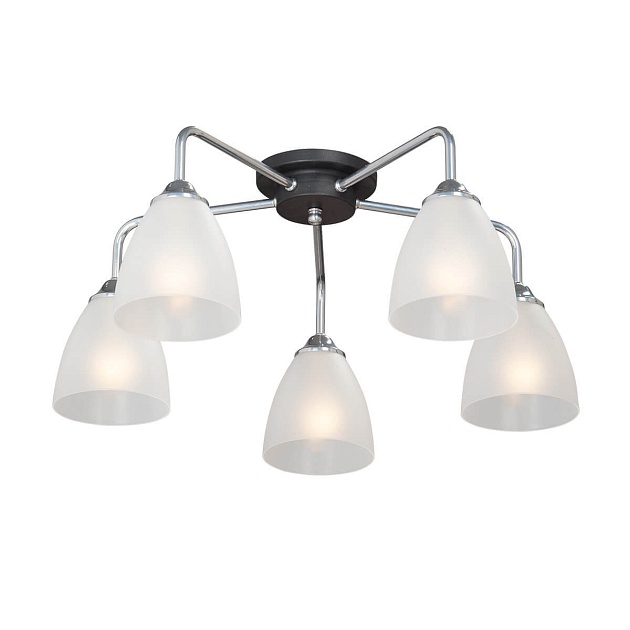 Потолочная люстра Vitaluce V4500-9/5PL Фото № 1