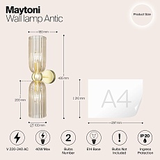 Настенный светильник Maytoni Antic MOD302WL-02CG 1