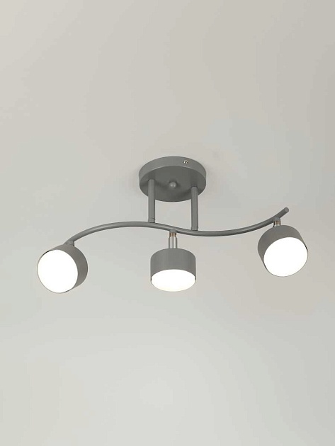 Спот Rivoli Vivien 7077-703 Б0069923 Фото № 13