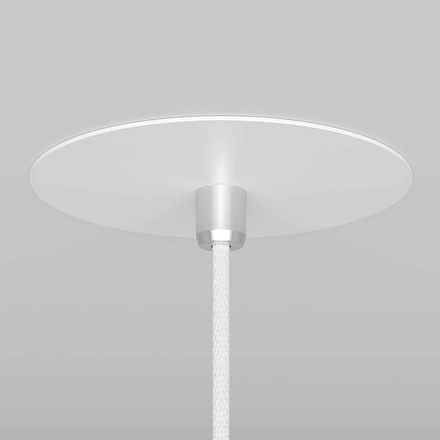 Подвесной светильник Maytoni Nevill P318-PL-01-W Фото № 3