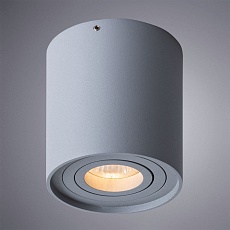 Потолочный светильник Arte Lamp Falcon A5645PL-1GY 2