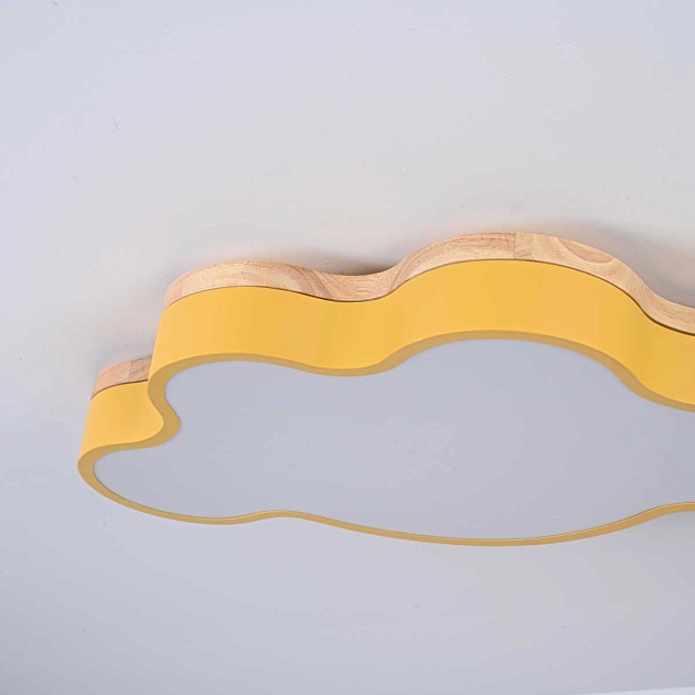 Потолочный светильник Imperium Loft CLOUD-ECO01 189509-26 изображение 3 Потолочный светильник Imperium Loft CLOUD-ECO01 189509-26 Фото № 3