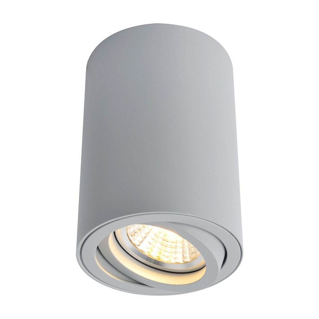 Потолочный светильник Arte Lamp A1560PL-1GY фото 