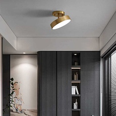 Потолочный светильник Imperium Loft Tenn C D120 167275-26 1