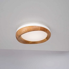 Потолочный светодиодный светильник Imperium Loft Runis 140974-26 5