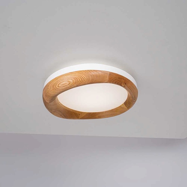 Потолочный светодиодный светильник Imperium Loft Runis 140974-26 изображение 6 Потолочный светодиодный светильник Imperium Loft Runis 140974-26 Фото № 6