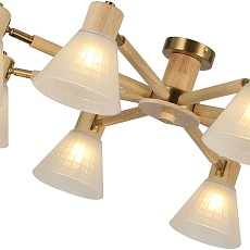 Потолочная люстра Arte Lamp Meleph A4096PL-8BR 4