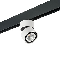 Комплект с трековым светильником Lightstar Forte Muro (595061+213816) PRO213816