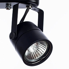 Спот Arte Lamp Lente A1310PL-2BK 1