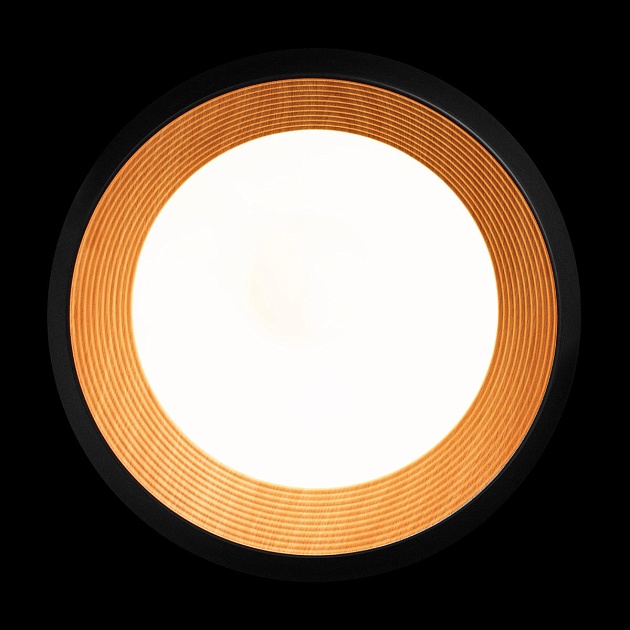 Потолочный светильник Loft IT Folk 10255/500 Black Фото № 5