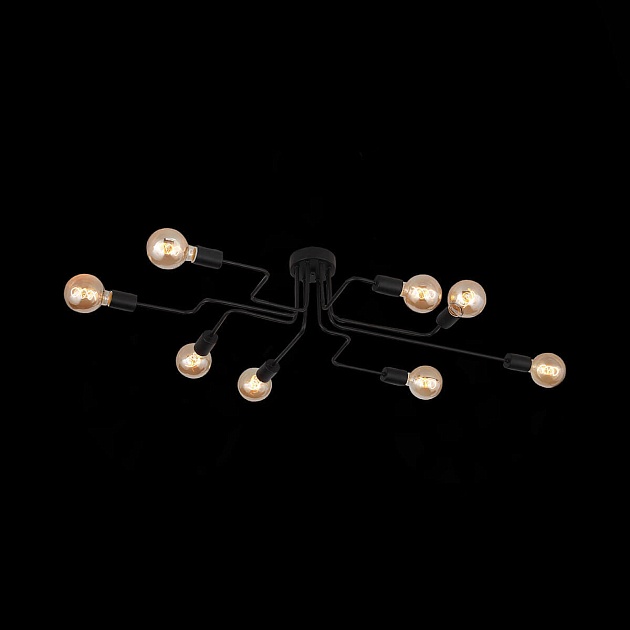Потолочная люстра Evoluce Ano SL419.442.08 изображение 2 Потолочная люстра Evoluce Ano SL419.442.08 Фото № 2