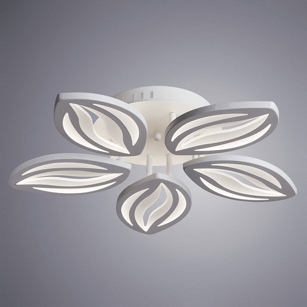 Потолочная светодиодная люстра Arte Lamp Daisy A1098PL-5WH Фото № 2