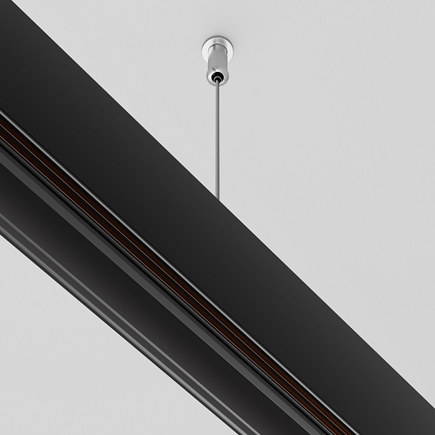 Подвес Maytoni Technical Exility Busbur TRA034SW-2B Фото № 2