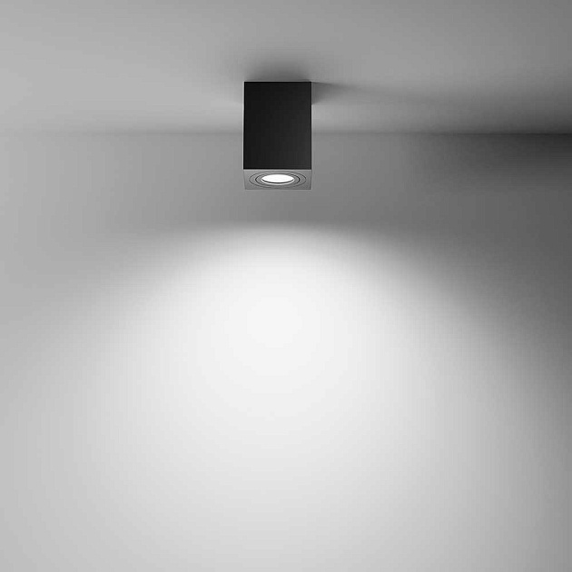 Потолочный светильник Maytoni Alfa C017CL-01B изображение 2 Потолочный светильник Maytoni Alfa C017CL-01B Фото № 2