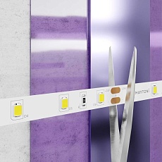 Светодиодная лента Standard Maytoni Led Strip 20015 5