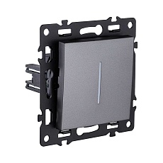 Выключатель 1-клавишный проходной 10А/250В с LED подсветкой, серый Kollinger Asthetik AS-008GY 1
