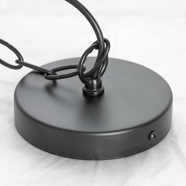 Подвесная люстра Lussole Loft CARROLLTON LSP-8735 Фото № 3