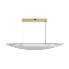 Подвесной светодиодный светильник Freya Cloud FR5441PL-L40G 2